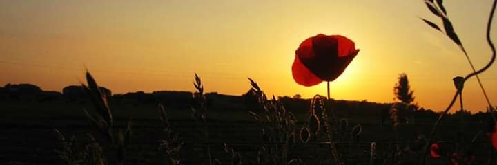 PersinfoTweet's profile banner image