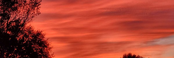 YeahYeah1972 Profile Banner