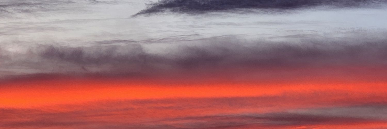 Sindi Lyon banner