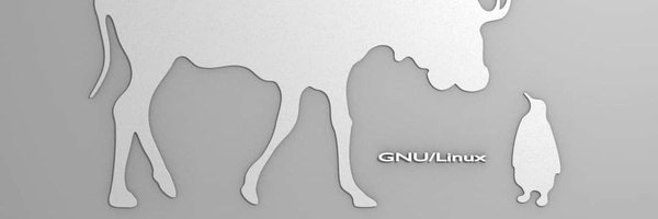 LatinChainLatam Profile Banner