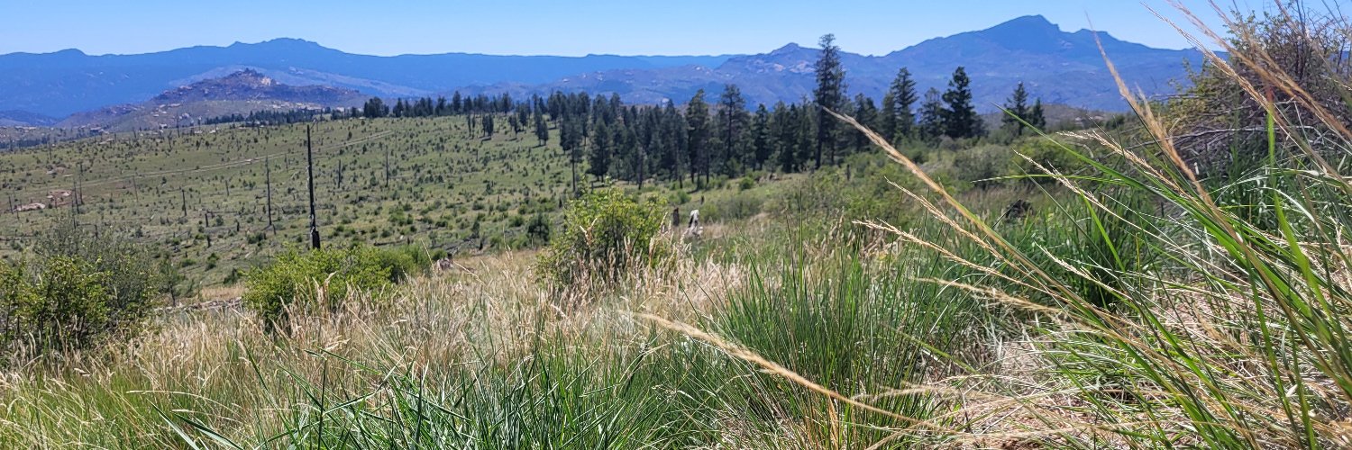 Jagger Johnson banner