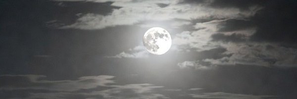 GoNoles_2022 Profile Banner