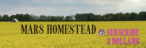 MarsHomestead Profile Banner
