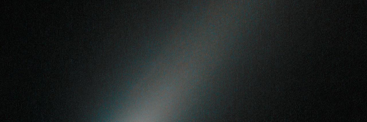 Daniela Silvestrin banner