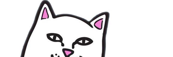 nofirskyn's profile banner image