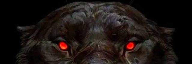 Loucho1000's profile banner image