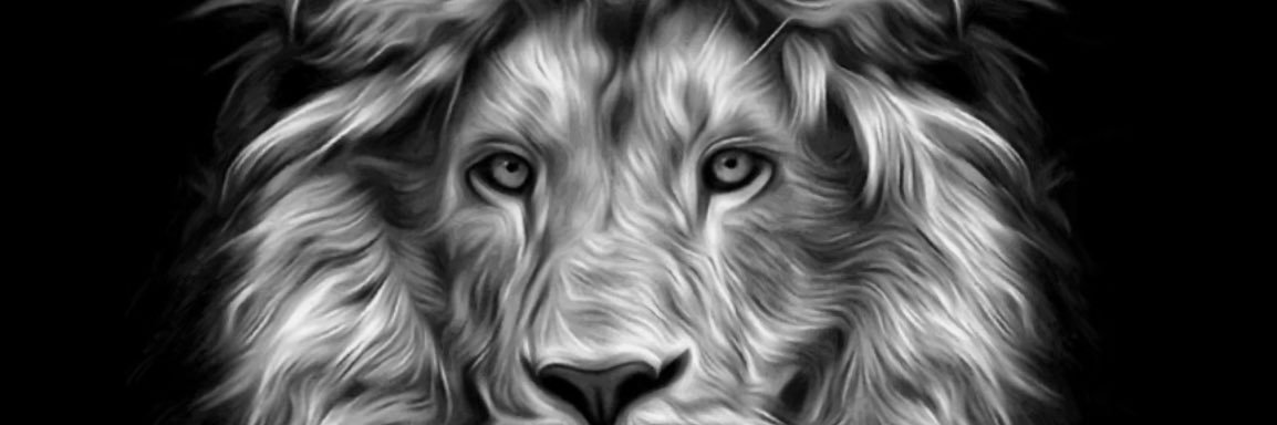 Camilo Garcia banner