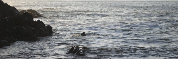 002lux Profile Banner