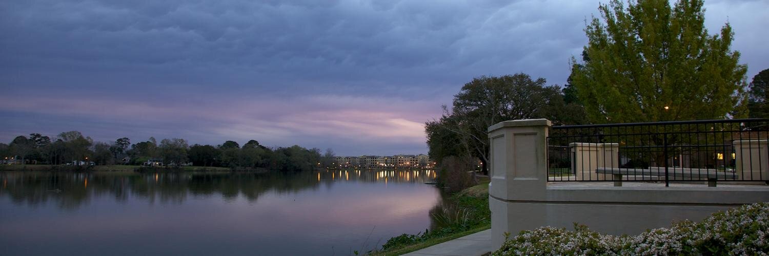 CookHotelatLSU's profile banner image