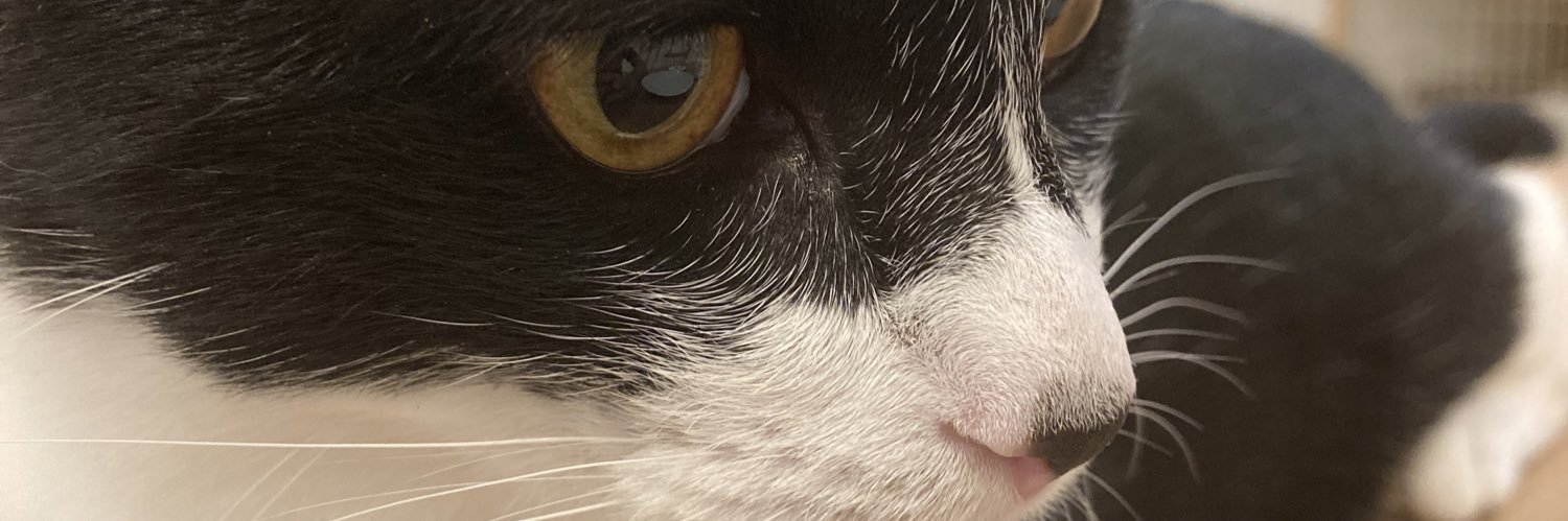 lupaulsmith's profile banner image