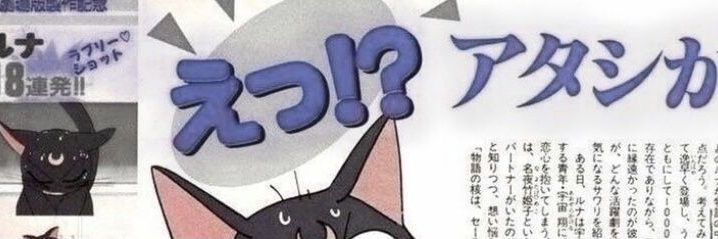 lilac 🐈‍⬛️🎸 banner