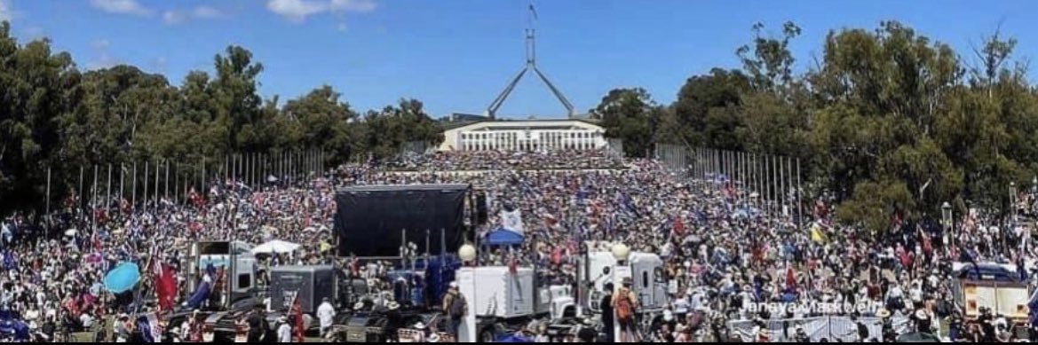 Chelsea Stanborough banner