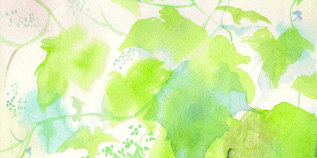 hoshi__rm's profile banner image