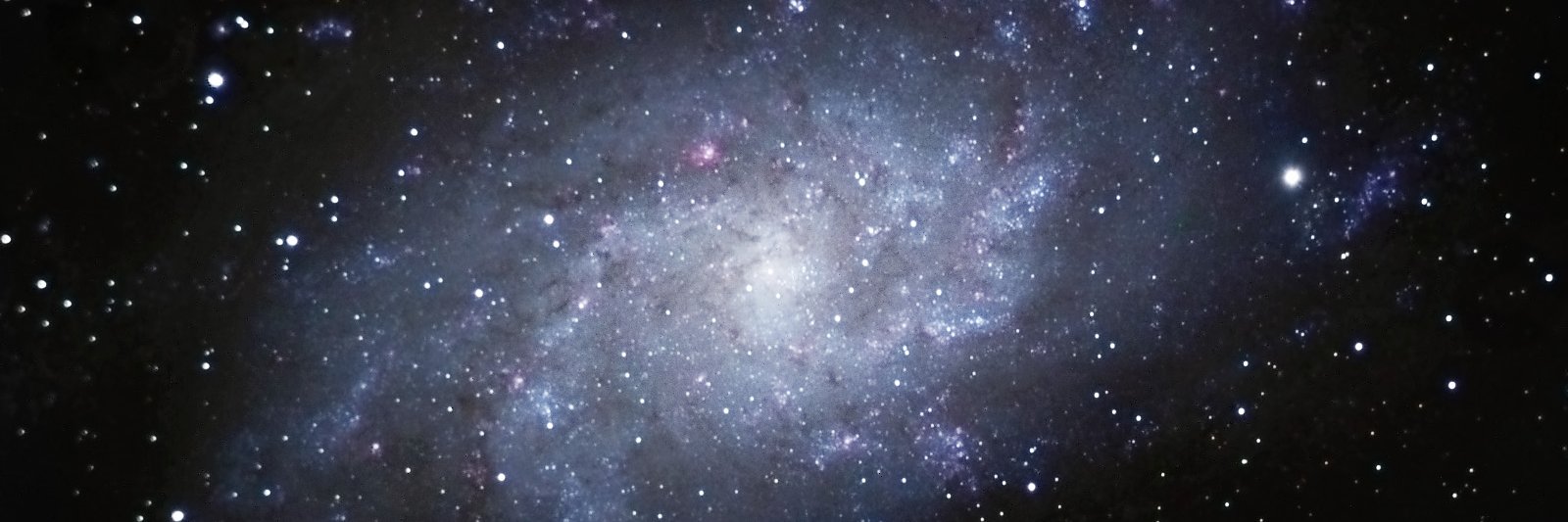 星立 banner