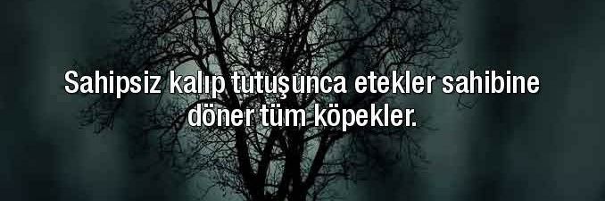 Umut0084's profile banner image