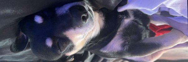 Luiney_ Profile Banner