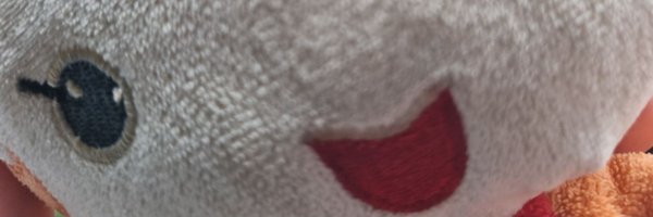 Raonning_S Profile Banner