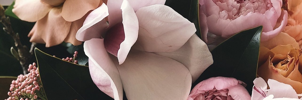 Nanceyard's profile banner image