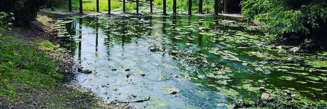 Peter Wallhead banner