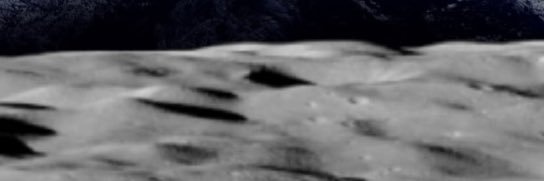 License2Shill banner