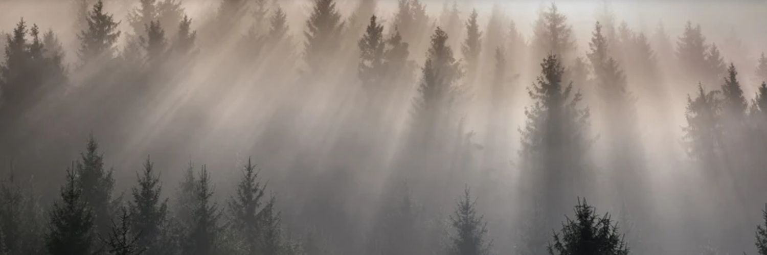 Hop's banner