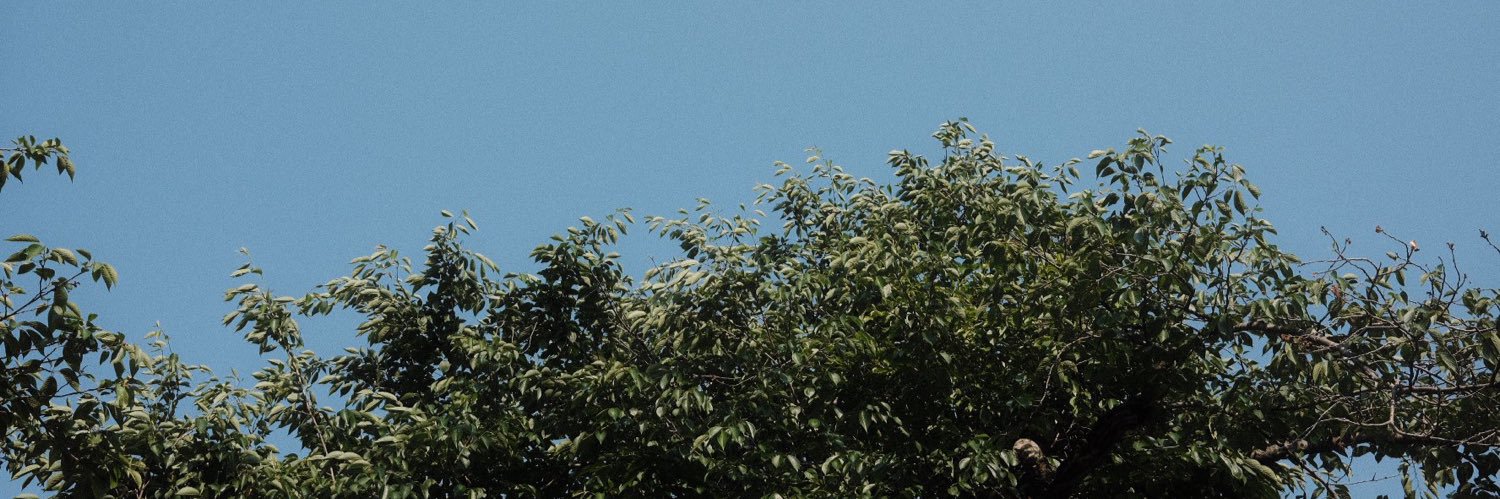 _rayadodoo's profile banner image