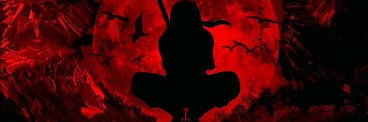 zlsyhm's profile banner image