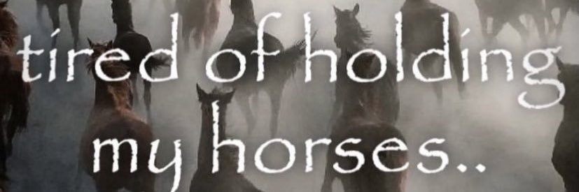 Amateur Moron banner