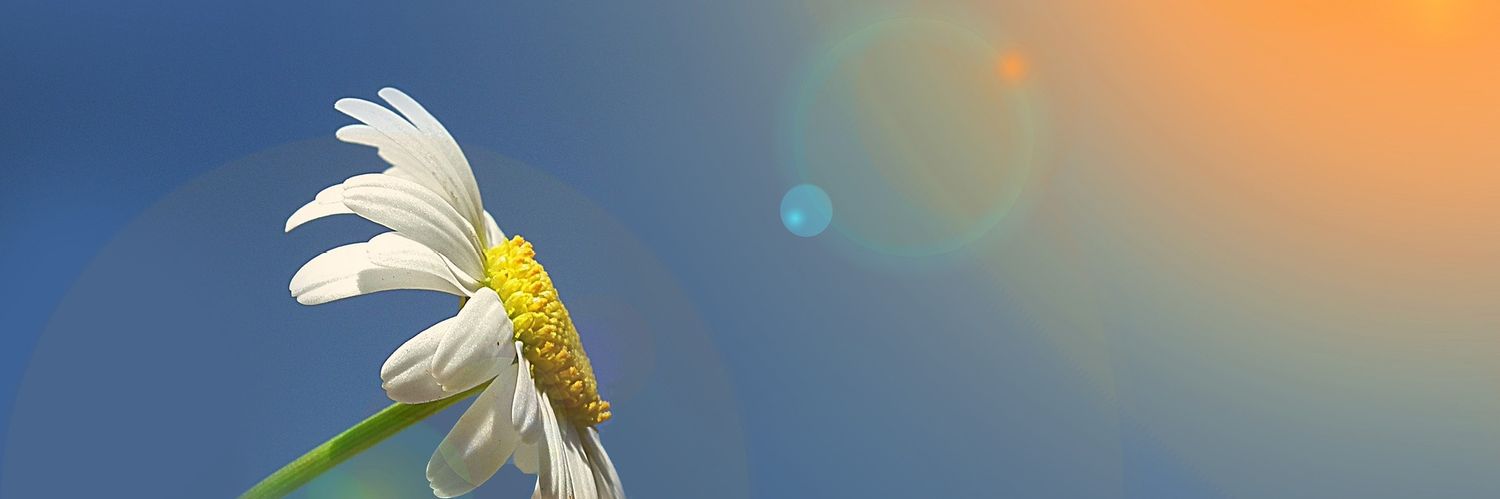 LucianeOC's profile banner image
