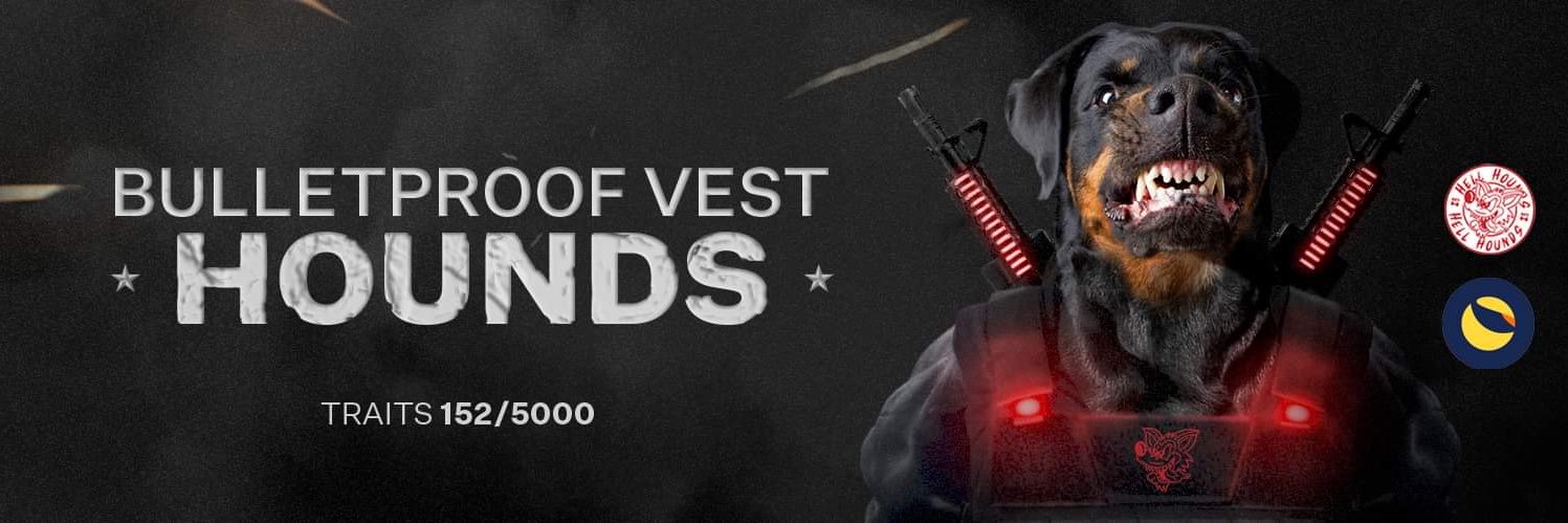 BPVHounds banner