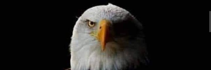 steine123's profile banner image