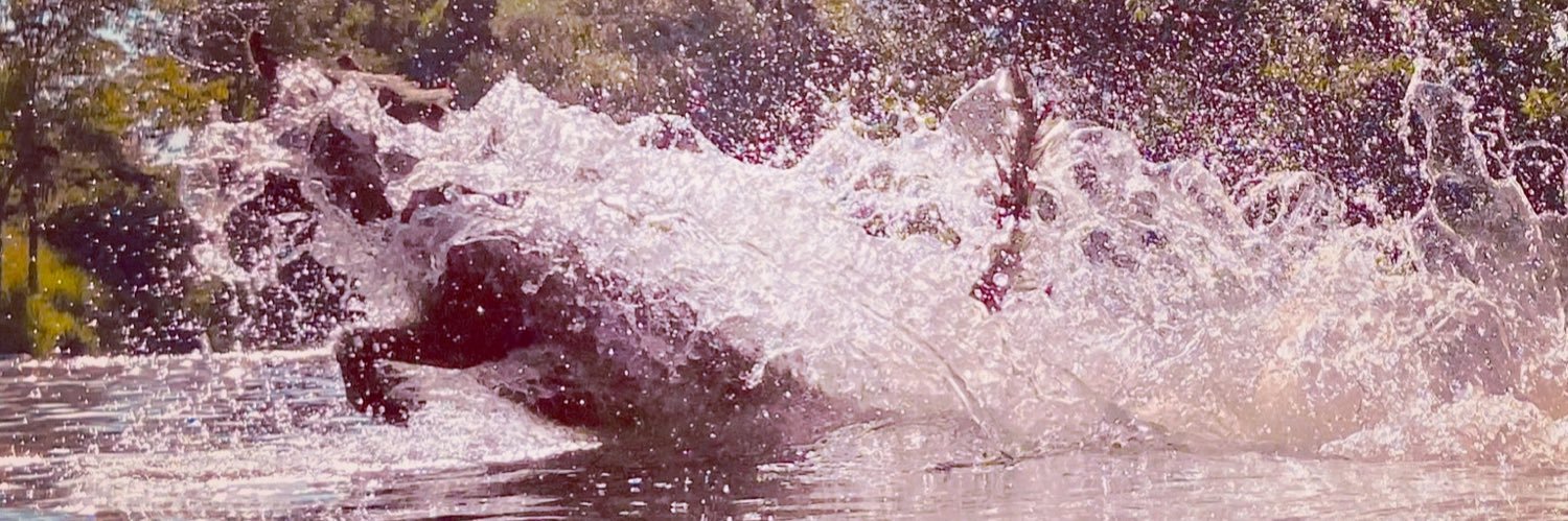 zoomyboy's profile banner image