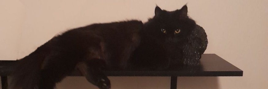 ❌ AC-Germany banner