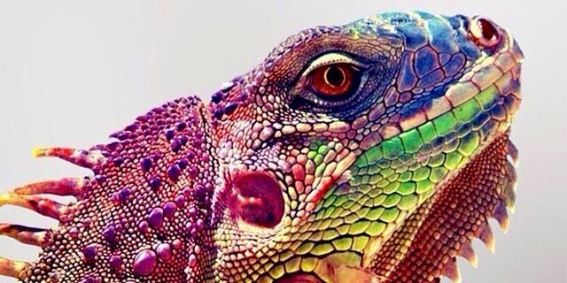 lagi4's profile banner image