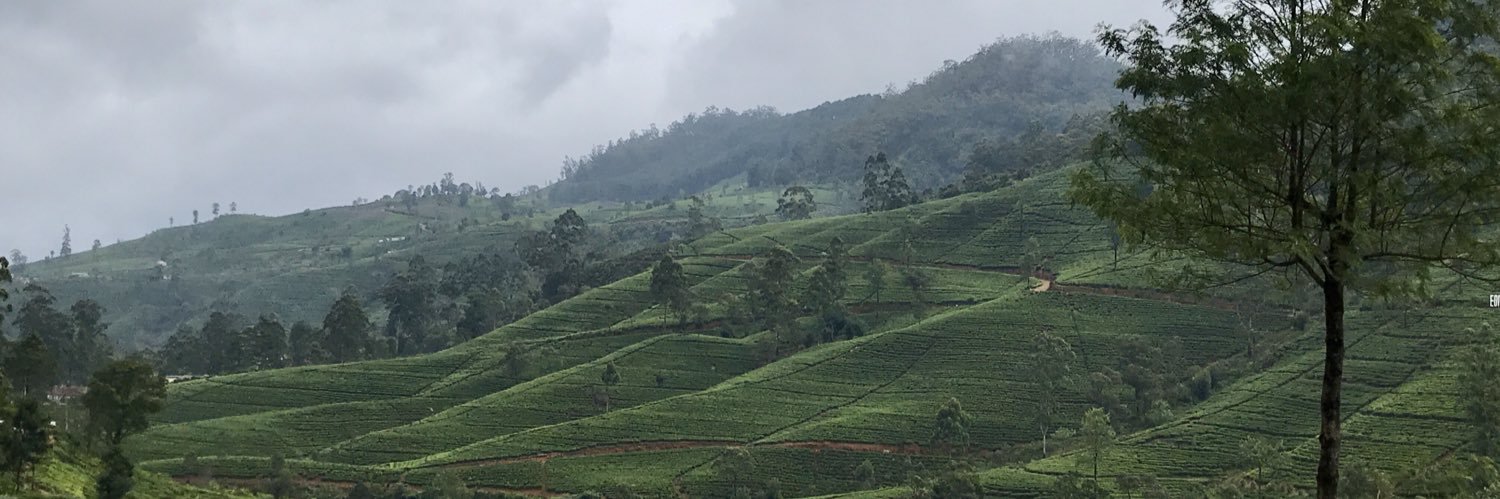 SumaiyahFirzan's profile banner image