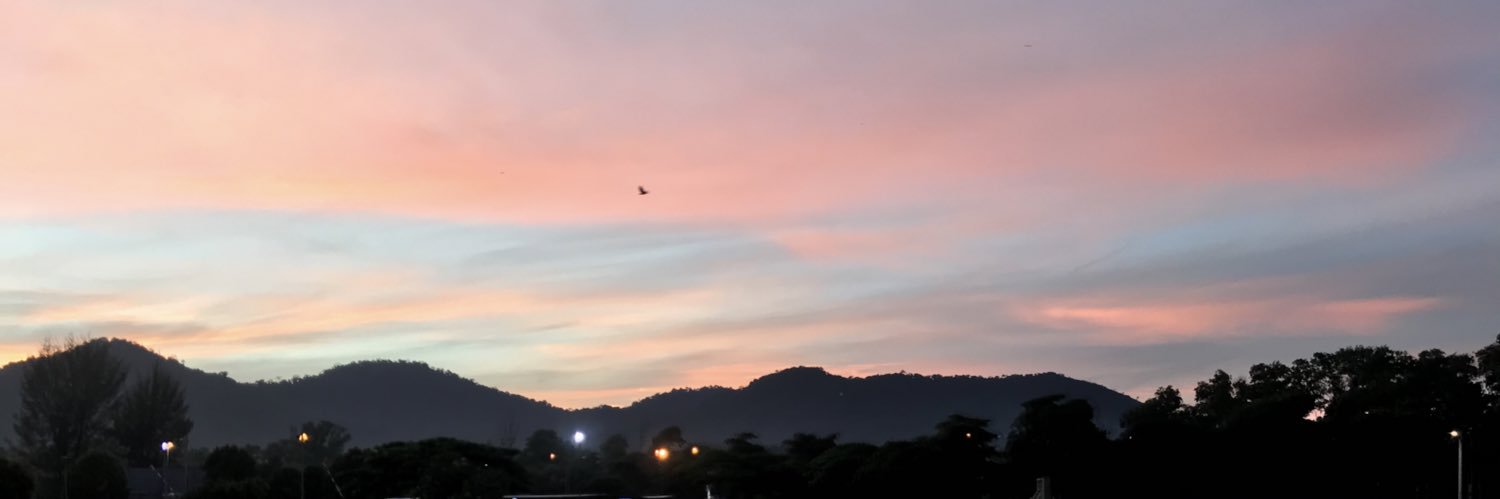 mysiani's profile banner image