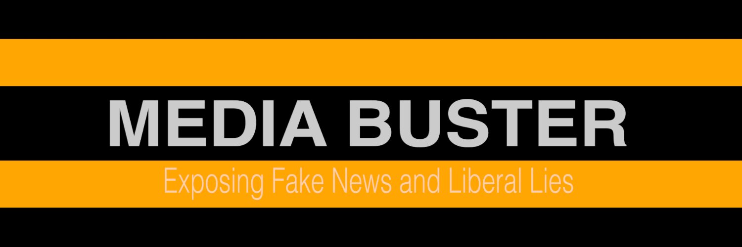MediaBuster banner