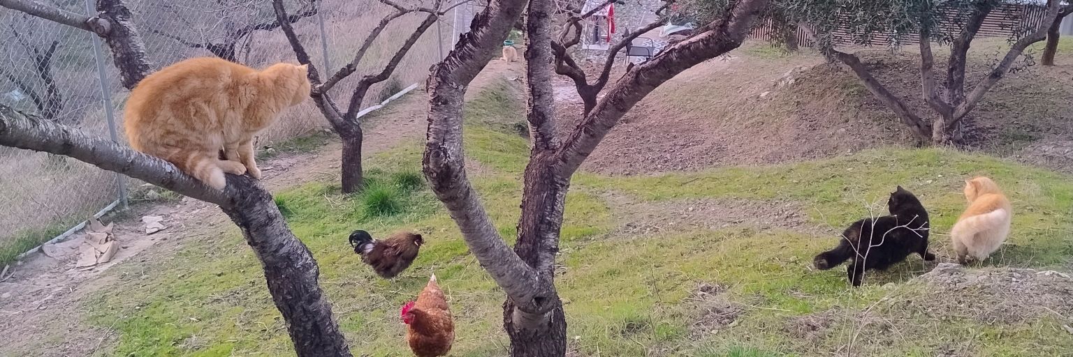 @offthegridMarbella banner