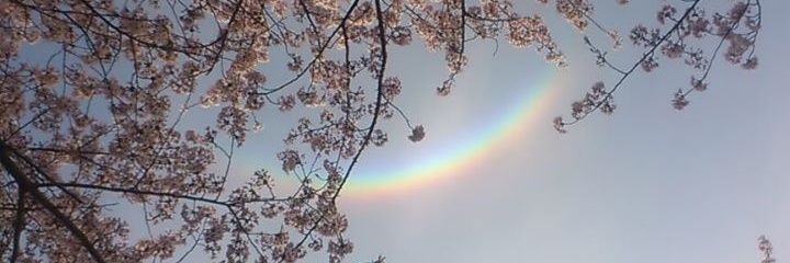 923kuri's profile banner image