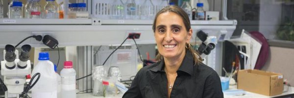 plasticentropy Profile Banner