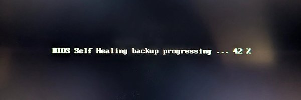 frederikheld Profile Banner