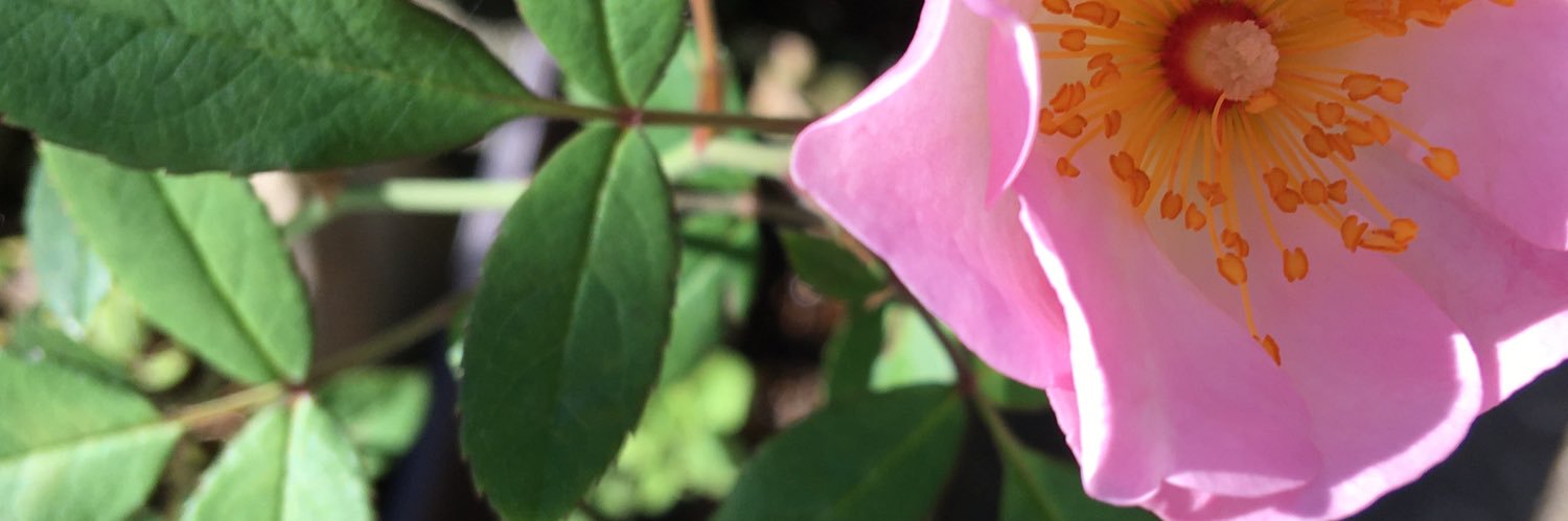 yum_park's profile banner image