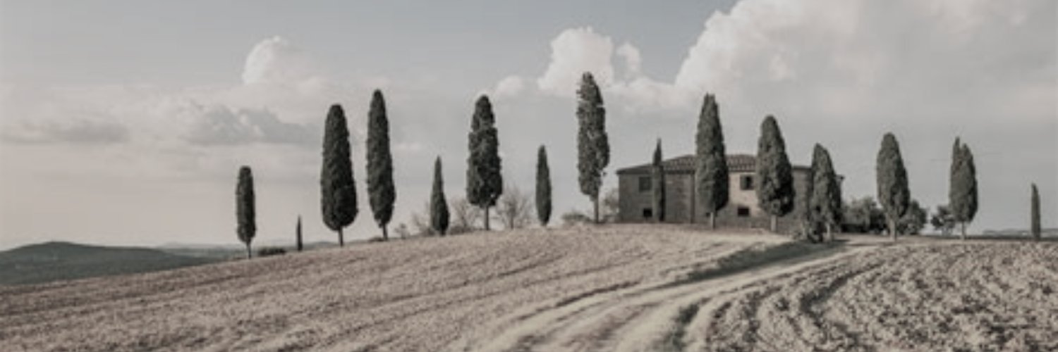 Rico Brick's banner