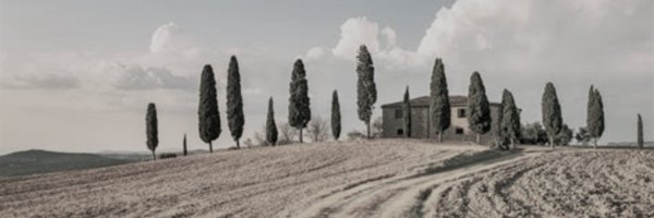 rico_brick Profile Banner