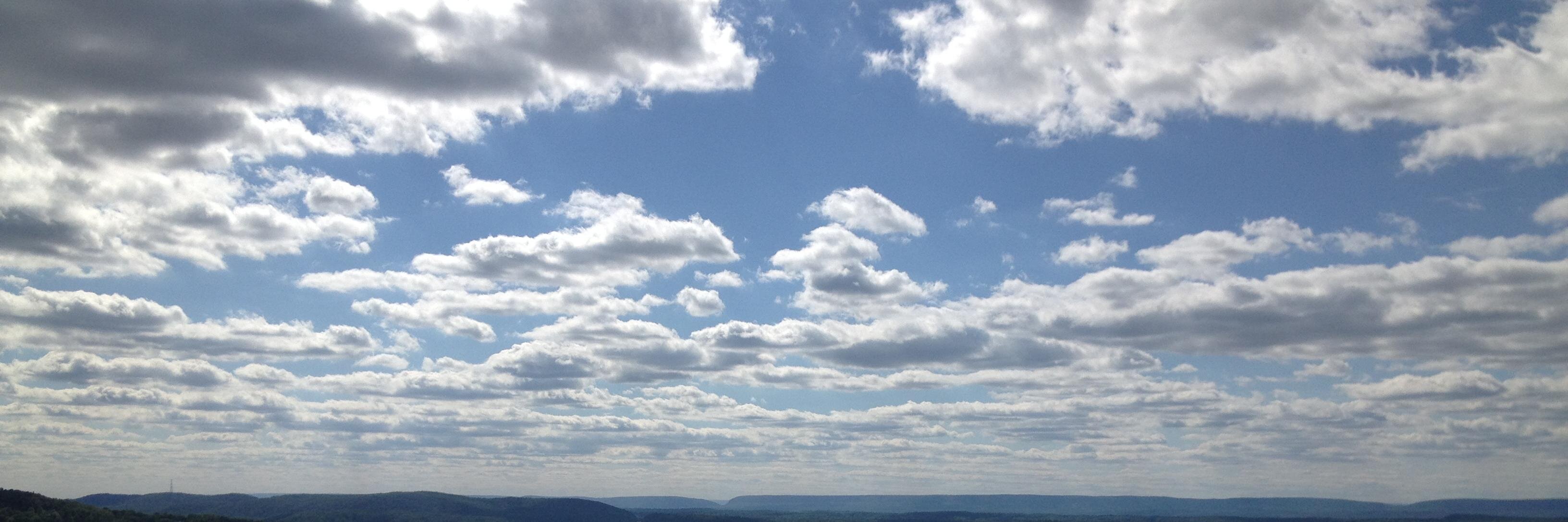 Courtney Reimer banner