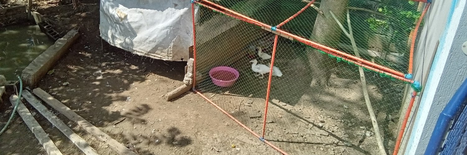 Four Stroke Engineer™ 🇺🇸 🇵🇭👨‍🦽 banner