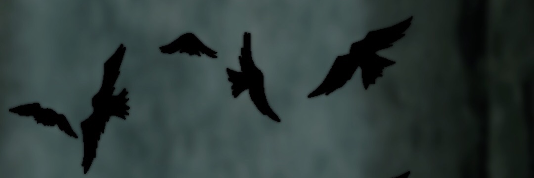 shzro1's profile banner image