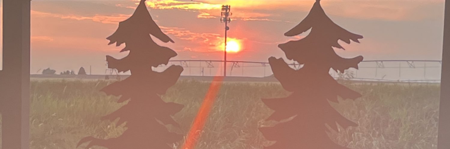 Idahoan by choice banner