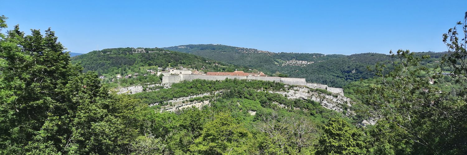 Jonathan Debauve banner