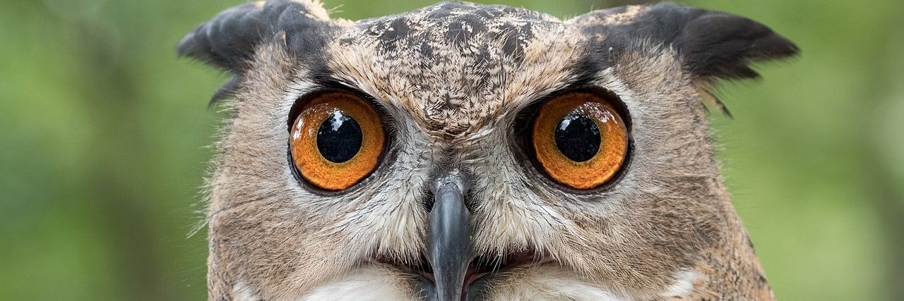 FactChecker, Ph.D.🦉👨‍🎓🏛's banner